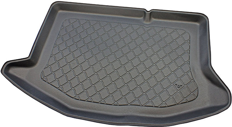 Raft pentru Aristar pentru Ford Fiesta VI (2008-2017) hatchback (3/5 uși)